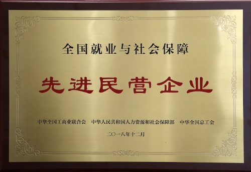 先進民營企業